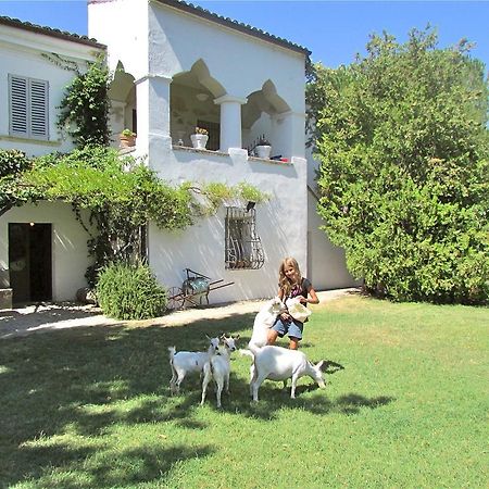 Agriturismo "Borgo Madonna Degli Angeli" - Charming Cottages In The Gardens ! Tocco da Casauria Екстериор снимка