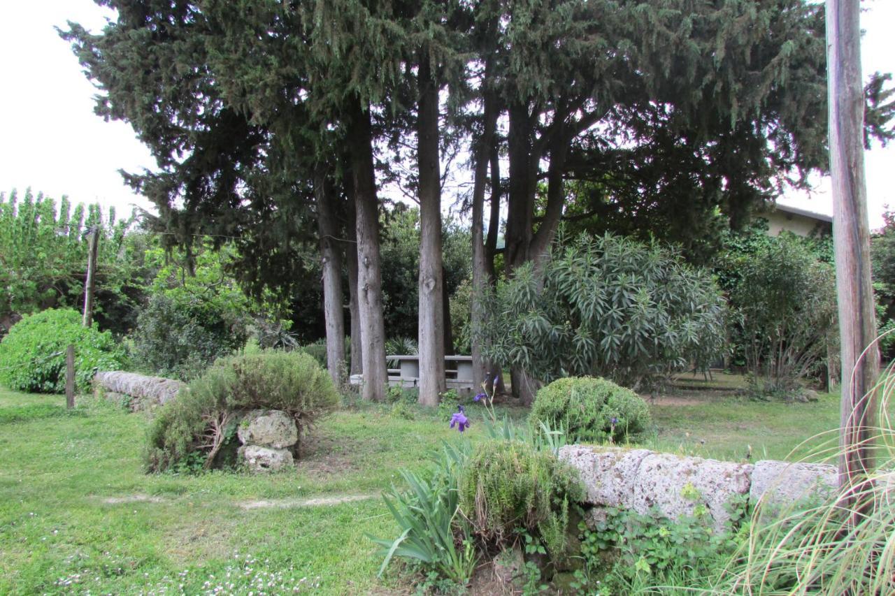 Agriturismo "Borgo Madonna Degli Angeli" - Charming Cottages In The Gardens ! Tocco da Casauria Екстериор снимка