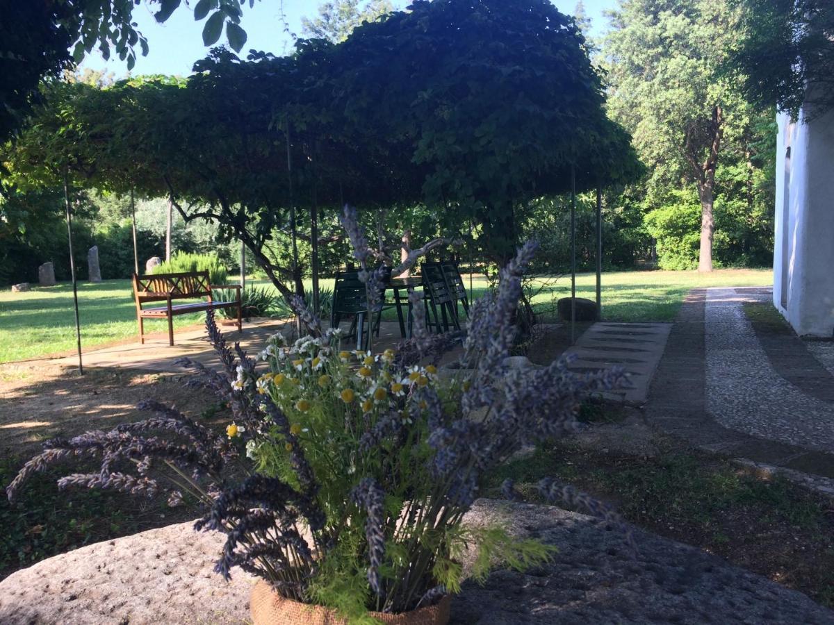 Agriturismo "Borgo Madonna Degli Angeli" - Charming Cottages In The Gardens ! Tocco da Casauria Екстериор снимка