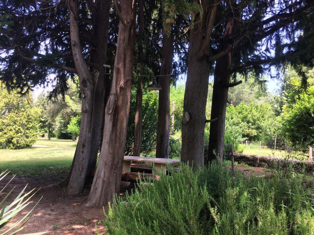 Agriturismo "Borgo Madonna Degli Angeli" - Charming Cottages In The Gardens ! Tocco da Casauria Екстериор снимка