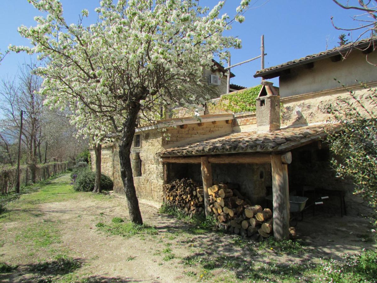 Agriturismo "Borgo Madonna Degli Angeli" - Charming Cottages In The Gardens ! Tocco da Casauria Екстериор снимка
