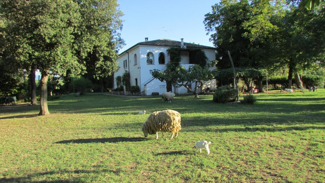 Agriturismo "Borgo Madonna Degli Angeli" - Charming Cottages In The Gardens ! Tocco da Casauria Екстериор снимка