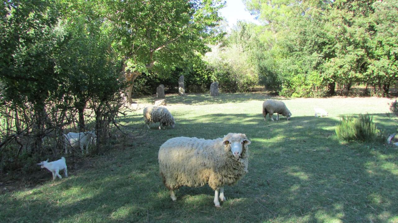 Agriturismo "Borgo Madonna Degli Angeli" - Charming Cottages In The Gardens ! Tocco da Casauria Екстериор снимка