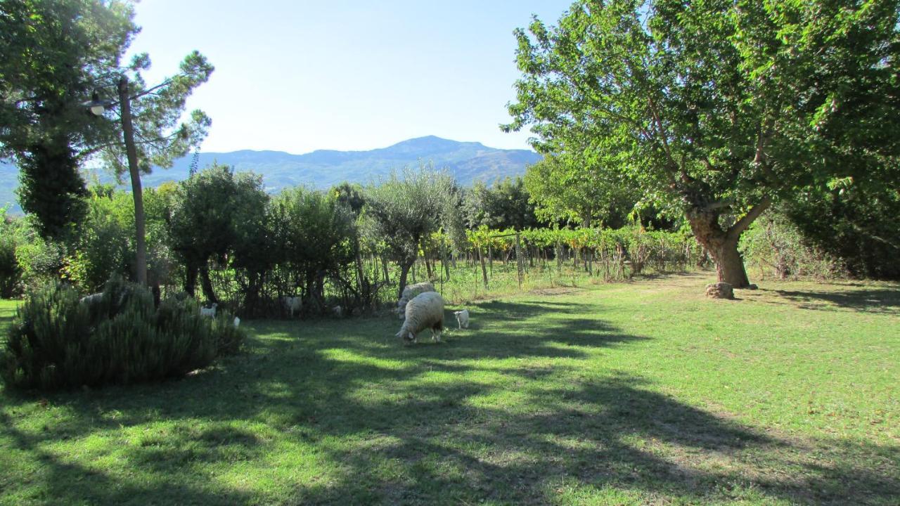Agriturismo "Borgo Madonna Degli Angeli" - Charming Cottages In The Gardens ! Tocco da Casauria Екстериор снимка