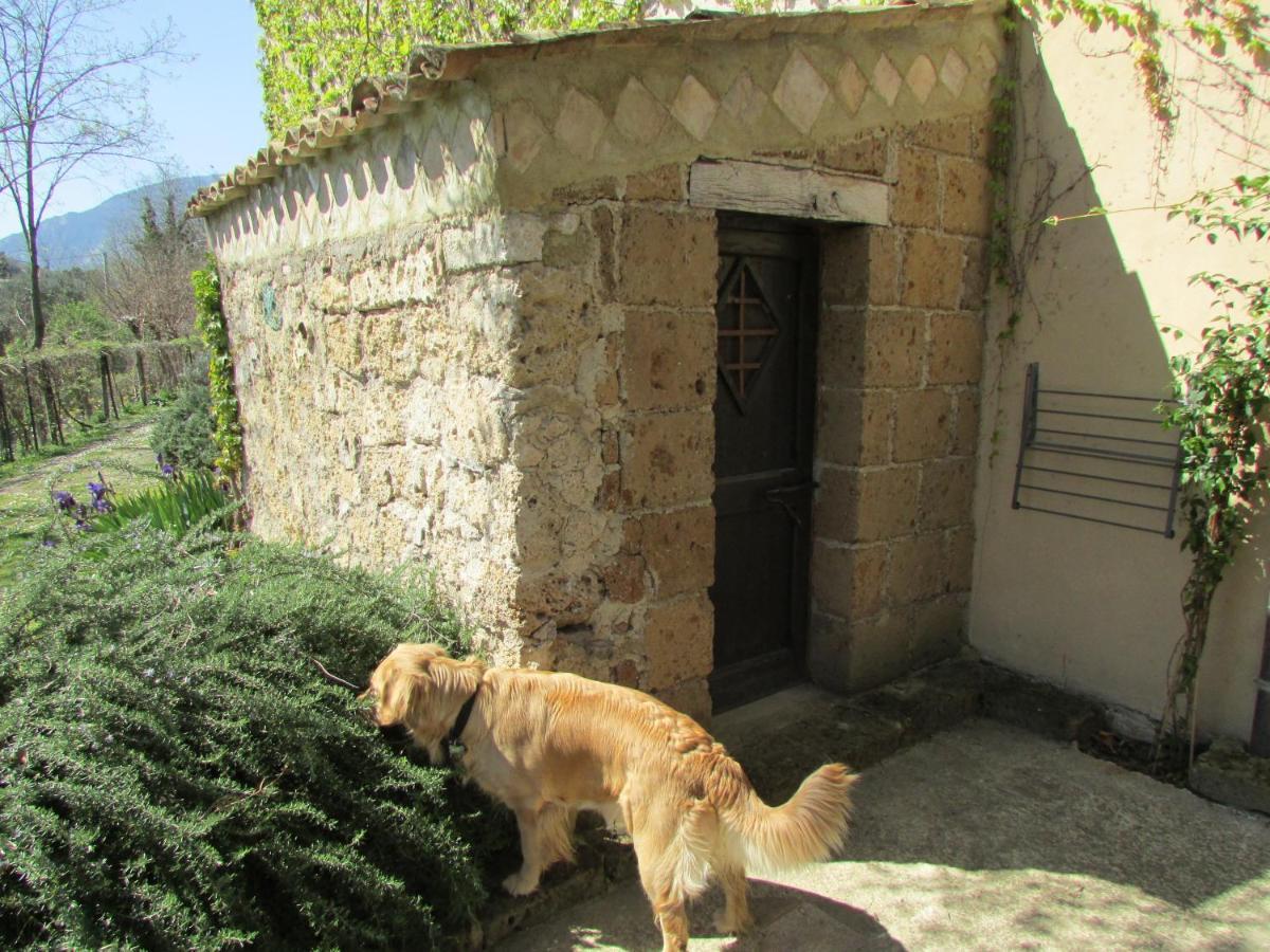 Agriturismo "Borgo Madonna Degli Angeli" - Charming Cottages In The Gardens ! Tocco da Casauria Екстериор снимка