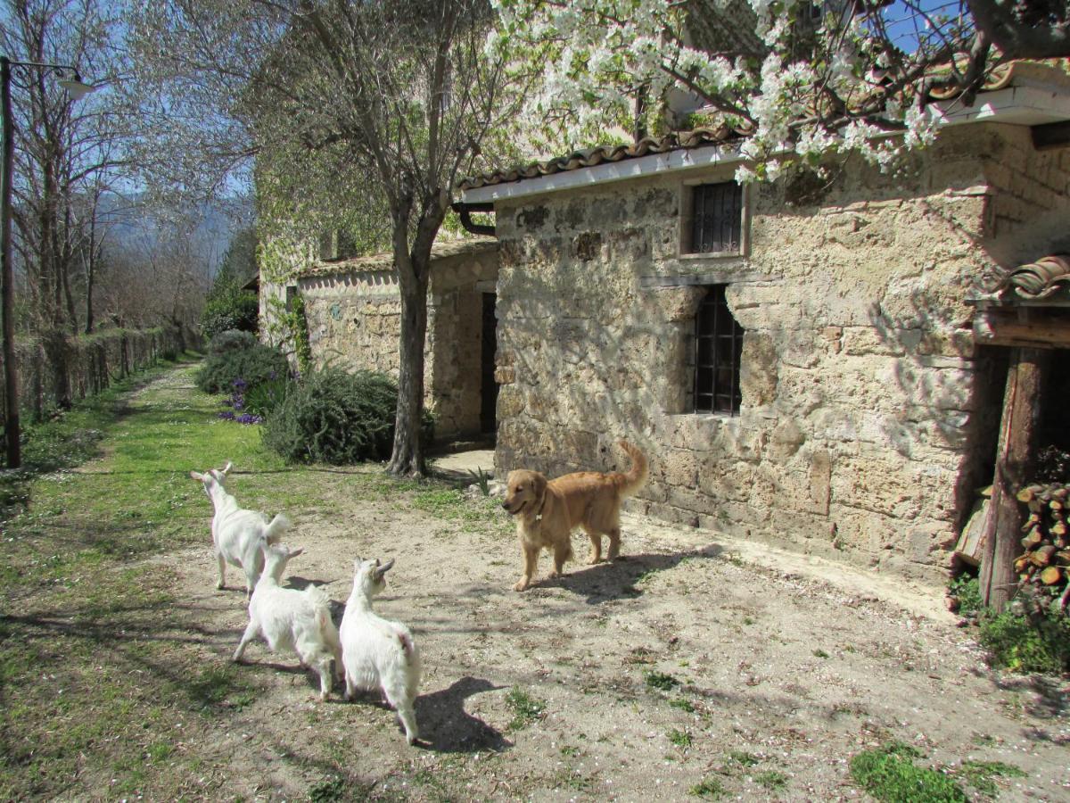 Agriturismo "Borgo Madonna Degli Angeli" - Charming Cottages In The Gardens ! Tocco da Casauria Екстериор снимка