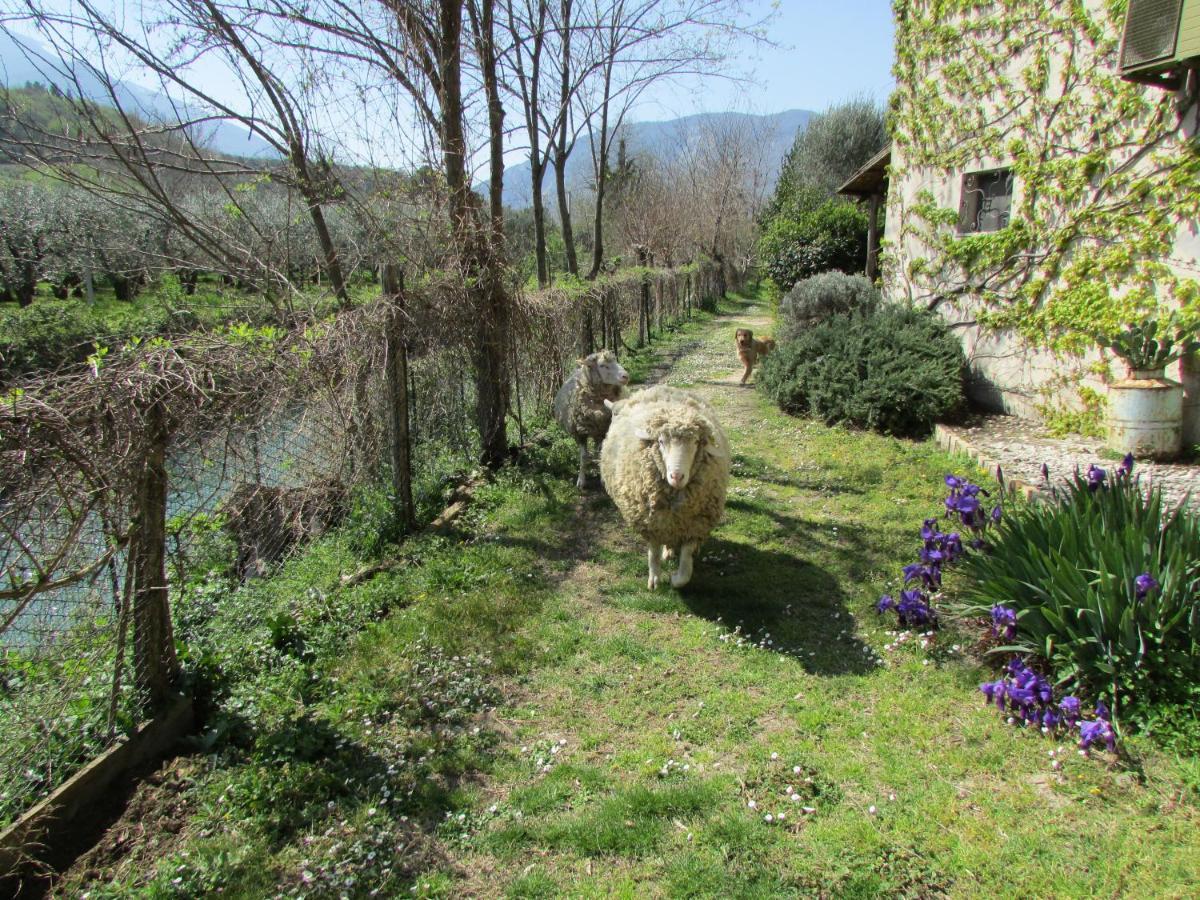 Agriturismo "Borgo Madonna Degli Angeli" - Charming Cottages In The Gardens ! Tocco da Casauria Екстериор снимка