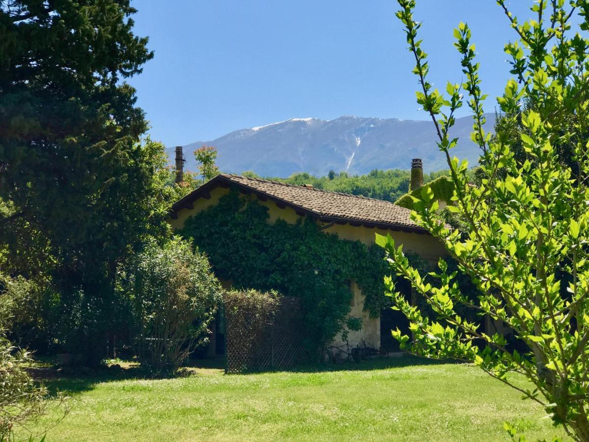 Agriturismo "Borgo Madonna Degli Angeli" - Charming Cottages In The Gardens ! Tocco da Casauria Екстериор снимка