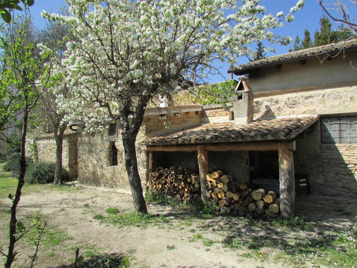 Agriturismo "Borgo Madonna Degli Angeli" - Charming Cottages In The Gardens ! Tocco da Casauria Екстериор снимка
