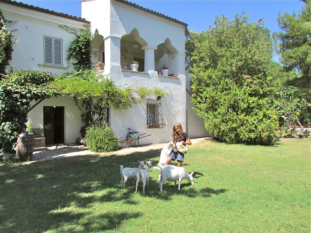 Agriturismo "Borgo Madonna Degli Angeli" - Charming Cottages In The Gardens ! Tocco da Casauria Екстериор снимка