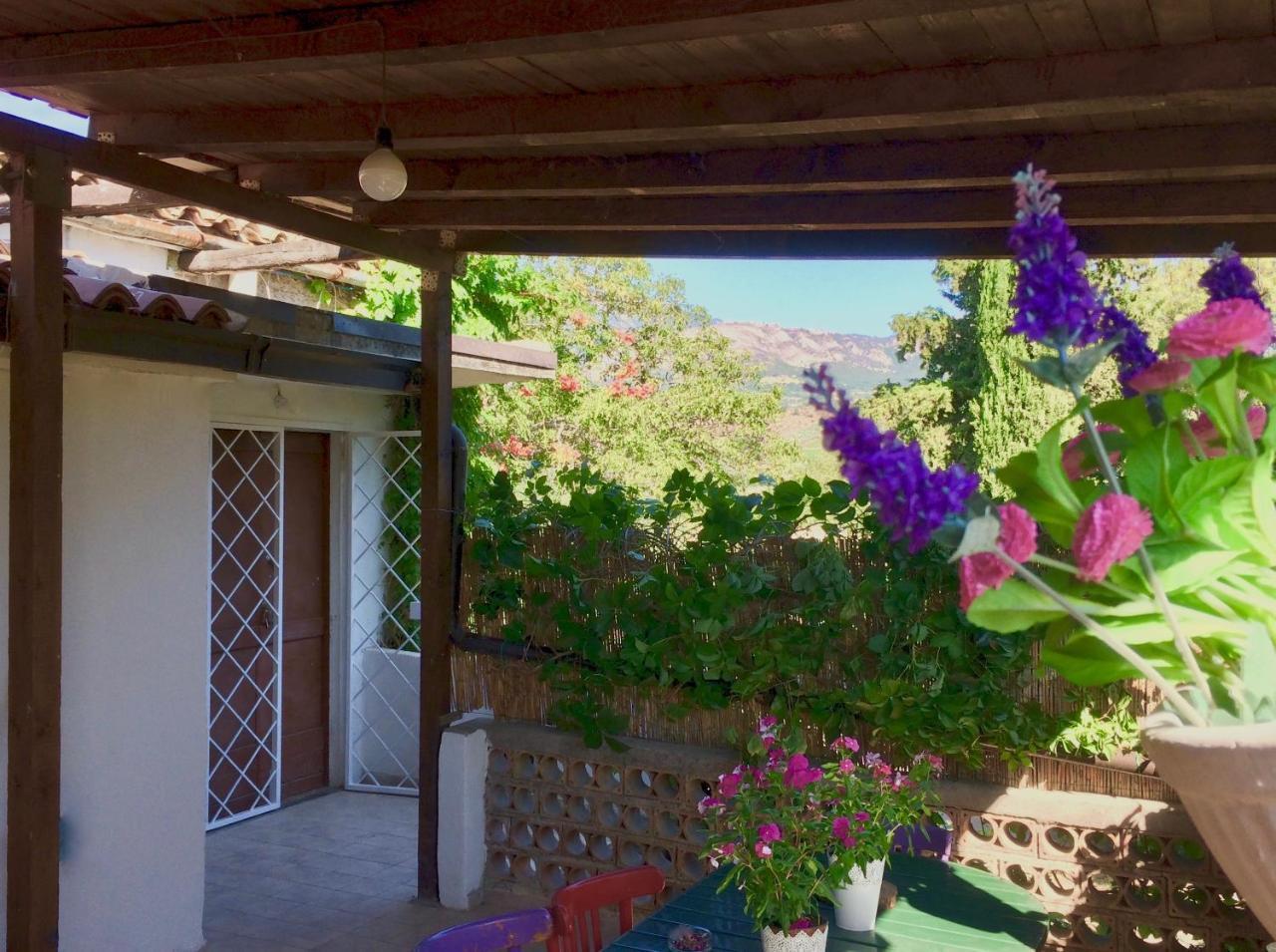 Agriturismo "Borgo Madonna Degli Angeli" - Charming Cottages In The Gardens ! Tocco da Casauria Екстериор снимка